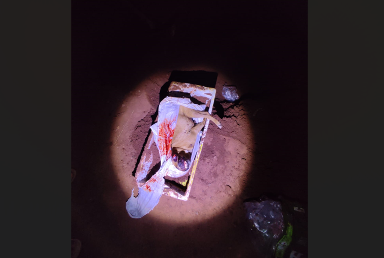 Imagem de compartilhamento para o artigo Homem mata cachorro com golpes de enxada e vai preso em Chapadão do Sul da MS Todo dia